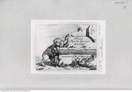 Vorderseite von  [http://creativecommons.org/publicdomain/mark/1.0/] ... - , bh286870. Foto.