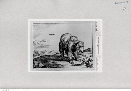 Vorderseite von  [http://creativecommons.org/publicdomain/mark/1.0/] ... - , bh286871. Foto.