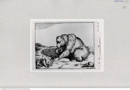 Vorderseite von  [http://creativecommons.org/publicdomain/mark/1.0/] ... - , bh286875. Foto.