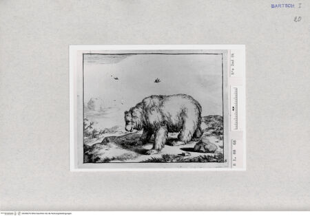 Vorderseite von  [http://creativecommons.org/publicdomain/mark/1.0/] ... - , bh286876. Foto.