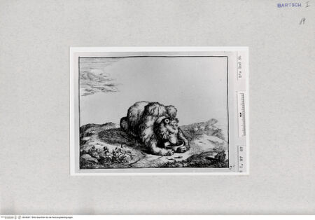 Vorderseite von  [http://creativecommons.org/publicdomain/mark/1.0/] ... - , bh286877. Foto.