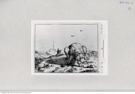 Vorderseite von  [http://creativecommons.org/publicdomain/mark/1.0/] ... - , bh286879. Foto.