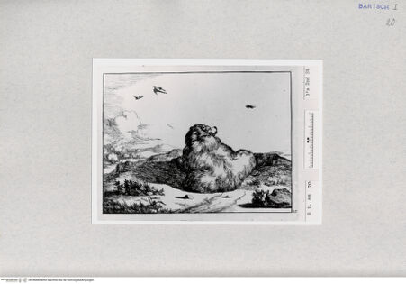 Vorderseite von  [http://creativecommons.org/publicdomain/mark/1.0/] ... - , bh286880. Foto.