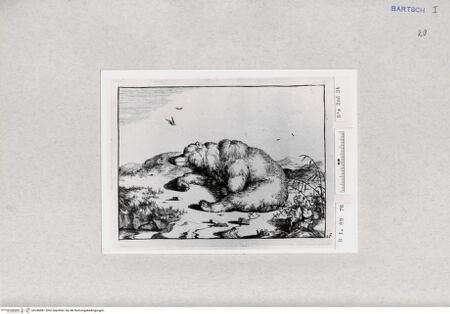 Vorderseite von  [http://creativecommons.org/publicdomain/mark/1.0/] ... - , bh286881. Foto.