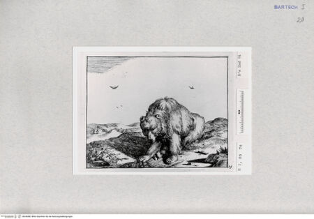 Vorderseite von  [http://creativecommons.org/publicdomain/mark/1.0/] ... - , bh286883. Foto.