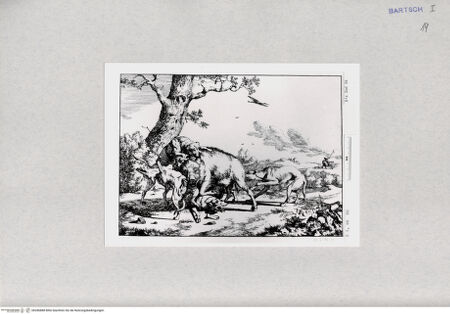 Vorderseite von  [http://creativecommons.org/publicdomain/mark/1.0/] ... - , bh286888. Foto.