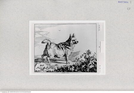 Vorderseite von  [http://creativecommons.org/publicdomain/mark/1.0/] ... - , bh286890. Foto.