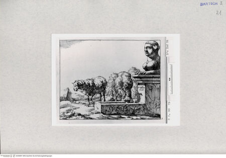 Vorderseite von  [http://creativecommons.org/publicdomain/mark/1.0/] ... - , bh286891. Foto.