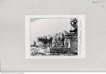 Vorderseite von  [http://creativecommons.org/publicdomain/mark/1.0/] ... - , bh286892. Foto.