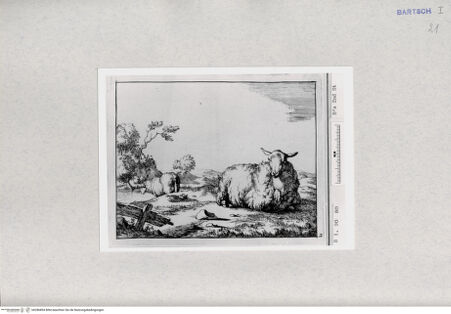 Vorderseite von  [http://creativecommons.org/publicdomain/mark/1.0/] ... - , bh286894. Foto.