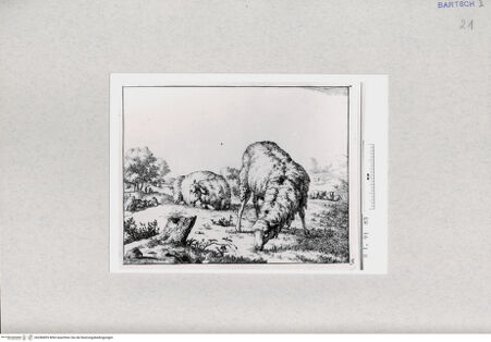 Vorderseite von  [http://creativecommons.org/publicdomain/mark/1.0/] ... - , bh286895. Foto.