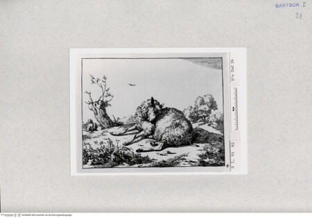 Vorderseite von  [http://creativecommons.org/publicdomain/mark/1.0/] ... - , bh286896. Foto.