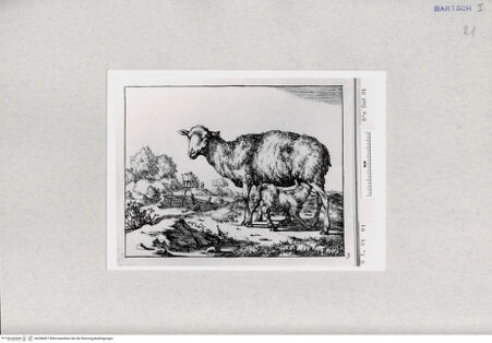 Vorderseite von  [http://creativecommons.org/publicdomain/mark/1.0/] ... - , bh286897. Foto.