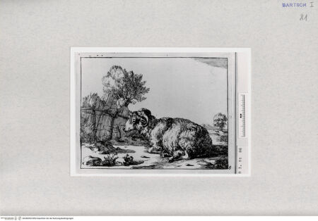 Vorderseite von  [http://creativecommons.org/publicdomain/mark/1.0/] ... - , bh286900. Foto.