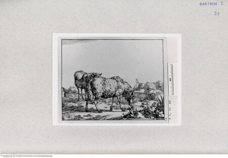 Vorderseite von  [http://creativecommons.org/publicdomain/mark/1.0/] ... - , bh286901. Foto.