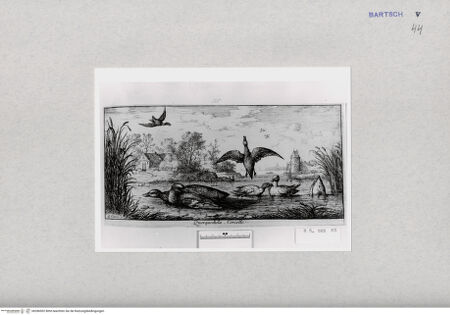 Vorderseite von  [http://creativecommons.org/publicdomain/mark/1.0/] ... - , bh286902. Foto.