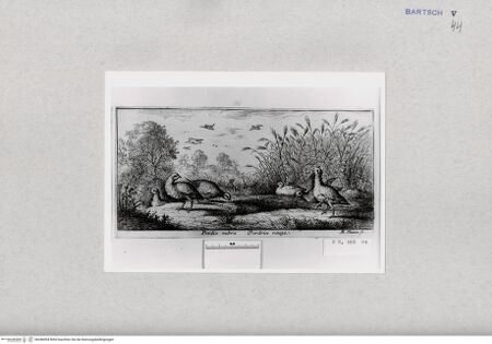 Vorderseite von  [http://creativecommons.org/publicdomain/mark/1.0/] ... - , bh286904. Foto.