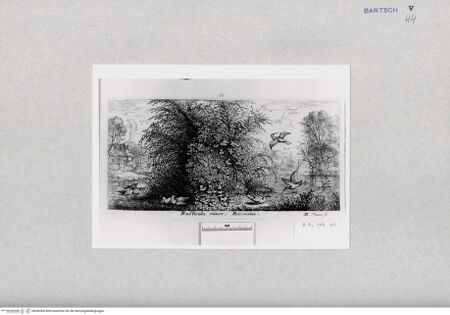 Vorderseite von  [http://creativecommons.org/publicdomain/mark/1.0/] ... - , bh286906. Foto.