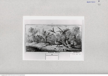 Vorderseite von  [http://creativecommons.org/publicdomain/mark/1.0/] ... - , bh286907. Foto.