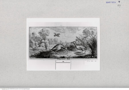 Vorderseite von  [http://creativecommons.org/publicdomain/mark/1.0/] ... - , bh286908. Foto.