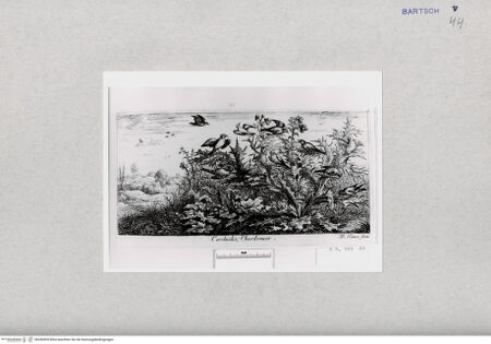 Vorderseite von  [http://creativecommons.org/publicdomain/mark/1.0/] ... - , bh286909. Foto.