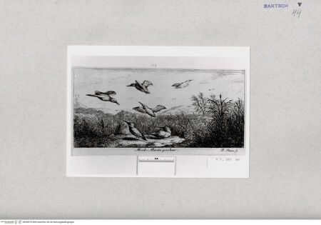 Vorderseite von  [http://creativecommons.org/publicdomain/mark/1.0/] ... - , bh286910. Foto.