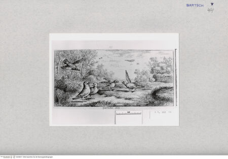 Vorderseite von  [http://creativecommons.org/publicdomain/mark/1.0/] ... - , bh286911. Foto.