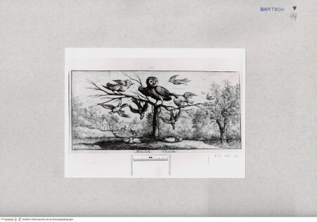 Vorderseite von  [http://creativecommons.org/publicdomain/mark/1.0/] ... - , bh286912. Foto.