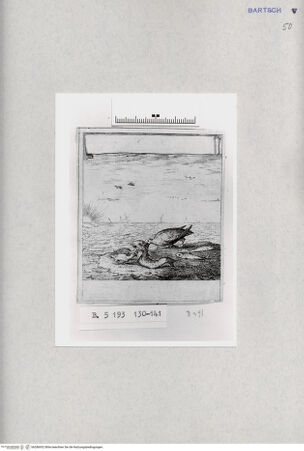 Vorderseite von  [http://creativecommons.org/publicdomain/mark/1.0/] , bh286932. Foto.