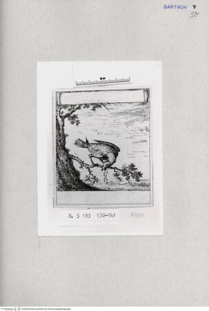 Vorderseite von  [http://creativecommons.org/publicdomain/mark/1.0/] , bh286936. Foto.