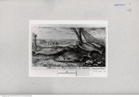 Vorderseite von  [http://creativecommons.org/publicdomain/mark/1.0/] ... - , bh286944. Foto.