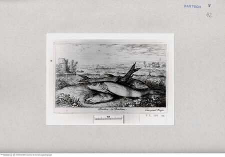 Vorderseite von  [http://creativecommons.org/publicdomain/mark/1.0/] ... - , bh286945. Foto.