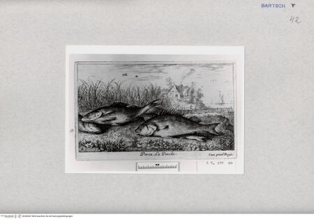 Vorderseite von  [http://creativecommons.org/publicdomain/mark/1.0/] ... - , bh286947. Foto.