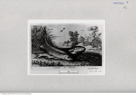 Vorderseite von  [http://creativecommons.org/publicdomain/mark/1.0/] ... - , bh286948. Foto.