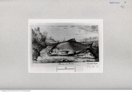 Vorderseite von  [http://creativecommons.org/publicdomain/mark/1.0/] ... - , bh286950. Foto.