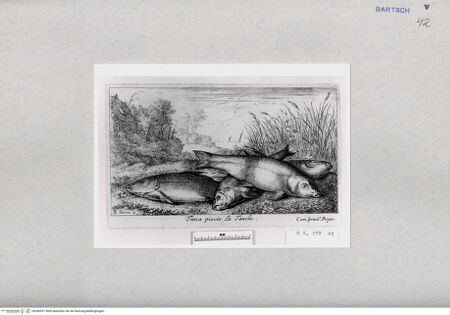 Vorderseite von  [http://creativecommons.org/publicdomain/mark/1.0/] ... - , bh286951. Foto.