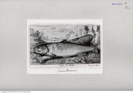 Vorderseite von  [http://creativecommons.org/publicdomain/mark/1.0/] ... - , bh286952. Foto.