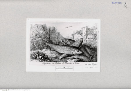 Vorderseite von  [http://creativecommons.org/publicdomain/mark/1.0/] ... - , bh286953. Foto.