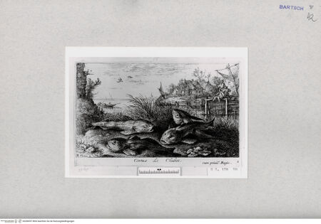 Vorderseite von  [http://creativecommons.org/publicdomain/mark/1.0/] ... - , bh286957. Foto.