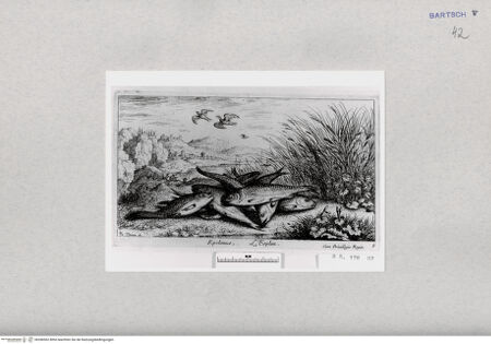 Vorderseite von  [http://creativecommons.org/publicdomain/mark/1.0/] ... - , bh286962. Foto.