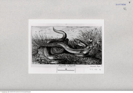 Vorderseite von  [http://creativecommons.org/publicdomain/mark/1.0/] ... - , bh286963. Foto.