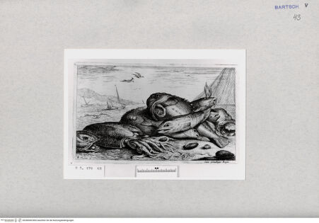 Vorderseite von  [http://creativecommons.org/publicdomain/mark/1.0/] ... - , bh286968. Foto.