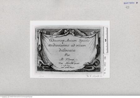 Vorderseite von  [http://creativecommons.org/publicdomain/mark/1.0/] ... - , bh286974. Foto.