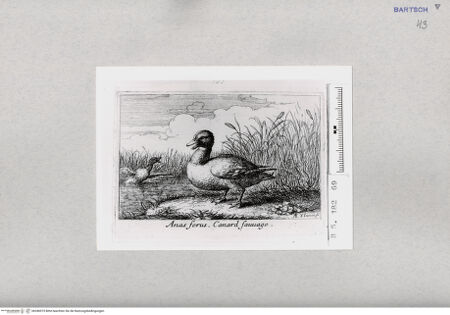 Vorderseite von  [http://creativecommons.org/publicdomain/mark/1.0/] ... - , bh286975. Foto.