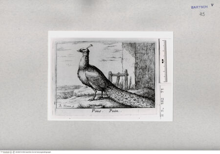 Vorderseite von  [http://creativecommons.org/publicdomain/mark/1.0/] ... - , bh286976. Foto.