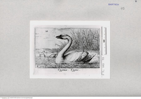 Vorderseite von  [http://creativecommons.org/publicdomain/mark/1.0/] ... - , bh286978. Foto.