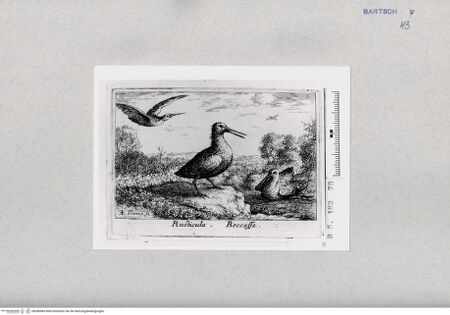 Vorderseite von  [http://creativecommons.org/publicdomain/mark/1.0/] ... - , bh286980. Foto.