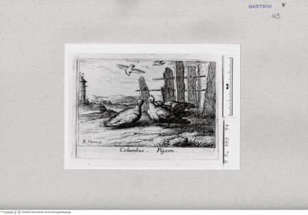 Vorderseite von  [http://creativecommons.org/publicdomain/mark/1.0/] ... - , bh286981. Foto.