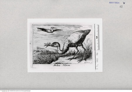 Vorderseite von  [http://creativecommons.org/publicdomain/mark/1.0/] ... - , bh286982. Foto.