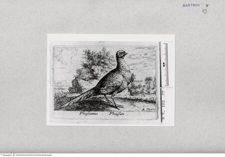 Vorderseite von  [http://creativecommons.org/publicdomain/mark/1.0/] ... - , bh286983. Foto.